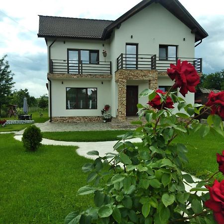 Pensiunea Casa Nusa Бая де Фиер Екстериор снимка